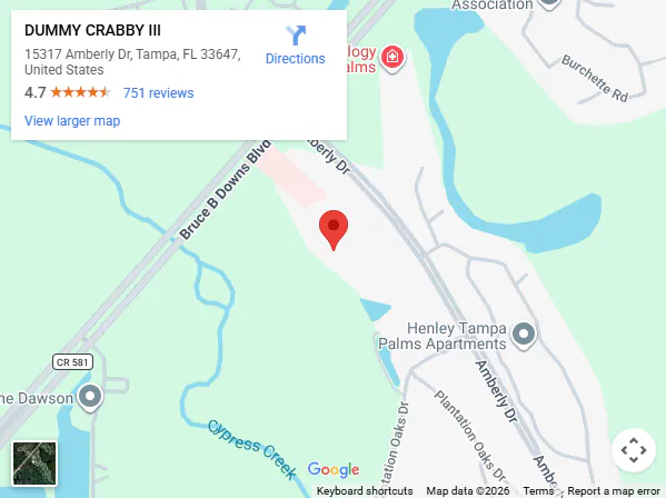 Location, 15317 Amberly Dr, Tampa, FL 33647, United States Location, 15317 Amberly Dr, Tampa, FL 33647, United States